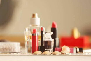 大学生村官开网店 用通讯设备连接乡村与现代商机